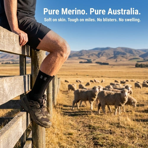 Plio — Compression Socks (Australian Merino Wool)